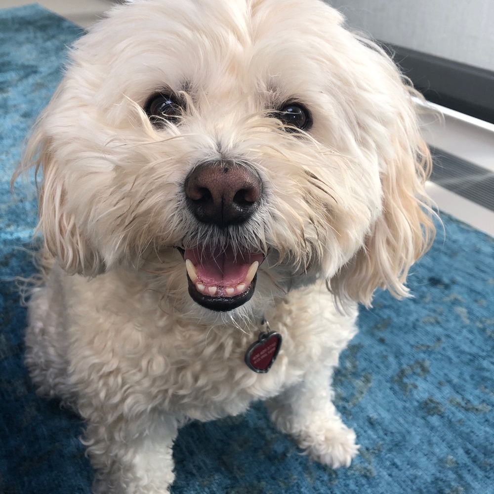 Meet your Posher, Jessica